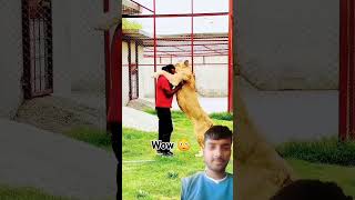 Wow 😯 dog dog doglover animals lion love song music bollywood hindisong bollywoodsongs [upl. by Relyk]