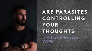 David Avocado Wolfe 19 Are Parasites Controlling Your Thoughts [upl. by Onailerua]