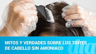 Mitos y verdades sobre los tintes de cabello sin amoniaco [upl. by Gautier956]