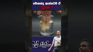 මොකක්ද ඇත්තටම ඒ වුණේ [upl. by Eillim]