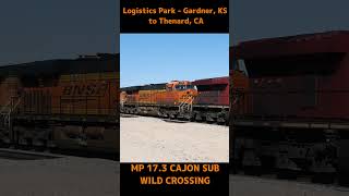 BNSF 4599 WB S LPKSCO Logistics Park Gardner KS to Thenard CA 6242024 [upl. by Judah48]