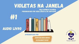 Áudio livro  Violetas na janela  Capítulo 1 [upl. by Irahcaz]