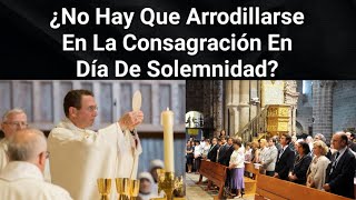 🤔¿NO Hay Qué ARRODILLARSE Durante La CONSAGRACIÓN En La Santa Misa En Día De Solemnidad Luis Román [upl. by Dorry360]