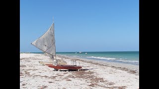 As 12 praias mais bonitas de Pernambuco 2015 [upl. by Aram522]