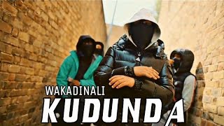 Wakadinali  KUDUNDA REMIX Official Music Video [upl. by Atenaz]