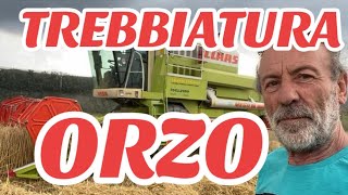 TREBBIATURA ORZO con CLAAS MEGA 202 PRATAVECCHIA DRONERO CUNEO PIEMONTE [upl. by Isayg273]