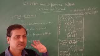 Oxidation amp Supergene Sulphide Enrichment Process Lect1 BScIII By Dr KK Mishra Geology [upl. by Costanzia]