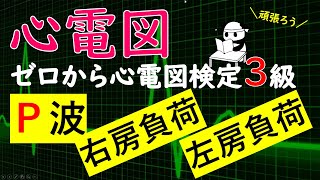 心電図【右房拡大】【左房拡大】【Pの異常】ゼロから心電図検定3級 [upl. by Susan]