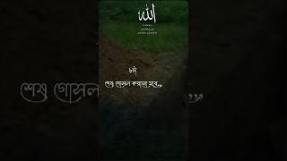 koborerajabkotokothin banglaislamicsong duetlove8ballpool newmusicanswer unfreezmyaccoun [upl. by Nnylirej]