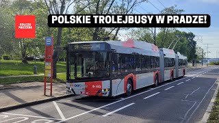 Polskie trolejbusy w Pradze [upl. by Dailey]