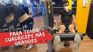 ¿Cómo hacer extensiones de piernas en el GYM Todo lo que necesitas saber [upl. by Ayiram]