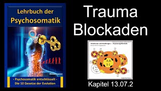 Lehrbuch der Psychosomatik  Therapie resistente Trauma Blockaden Psychologie Psychotherapie [upl. by Mutua]