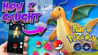 RARE POKÉMON IN POKÉMON GO HOW TO CATCH DRAGONITE HOW I CAUGHT DRAGONITE AT LVL 10 [upl. by Anivlis192]