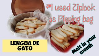 Lengua de Gato [upl. by Enrobyalc]