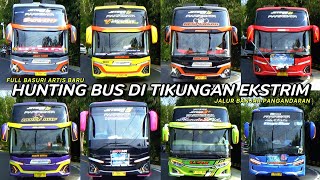 mobil bus telolet quartet bravo Sierra Bumblebee dkk shanum UPJ BS GUVILLI safana Eleganza DLL [upl. by Macur]