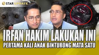 IRFAN HAKIM LAKUKAN INI PERTAMA KALI ANAK BINTURONG LAHIR DENGAN MATA SATU  STAR UPDATE [upl. by Efron639]