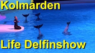 Kolmården Tierpark amp Zoo  Life Dolpin Show 2018  Delfinshow kolmården life  Full Show [upl. by Notsyrb451]