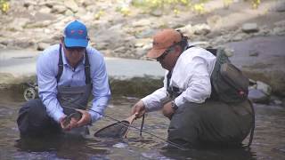 American Rivers Tour  Visiting Roscoe Trout Town of the USA in the Catskills [upl. by Tsepmet]