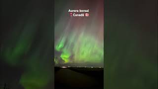 Así se ven las aurora boreal 😍 en 📍CANADA 🇨🇦 canadalife landscape [upl. by Ecnarrat75]