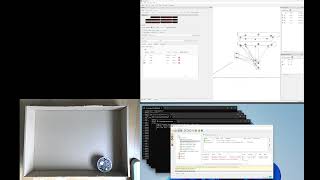 CARLsim vid10 Open field experiment for randomized movement [upl. by Imeaj]