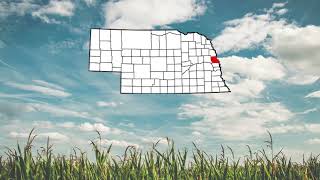 Washington County Nebraska  2023 Land Market Report  Land Brokers Inc [upl. by Amol]