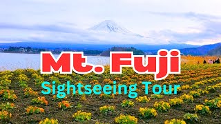 Mount Fuji View from Oishi Park  Kawaguchiko Red Line Sightseeing Bus [upl. by Mohammad]