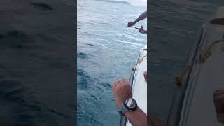 Caught a Big Kokari Fish in Andaman Waters andamansea sea [upl. by Fessuoy]