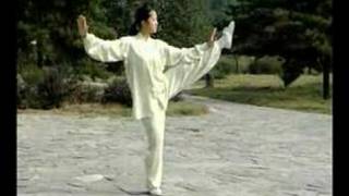 Tai Chi 42 Forms Part 3 Demo [upl. by Farrel]