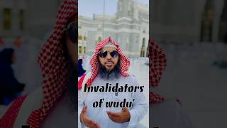 Invalidators of Wudu for Beginners Fiqh [upl. by Ayra]