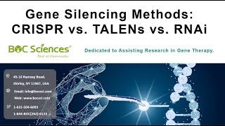 Gene Silencing Methods  CRISPR vs TALENs vs RNAi  siRNA  sgRNA  BOC Sciences [upl. by Ailongam]