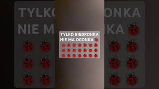 Tylko biedronka nie ma ogonka [upl. by Van]