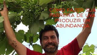 Como Fazer Sua Parreira de Uva Produzir em Abundância [upl. by Luanni]