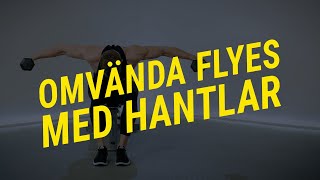 Omvända flyes med hantlar Teknik och utförande  Gymgrossisten [upl. by Hamachi771]