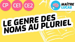 Le genre des noms au pluriel CP  CE1  CE2  Cycle 2  Français  étude de la langue Grammaire [upl. by Assirak]