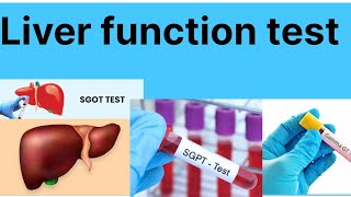 Liver function test lecture1 SGOT ampSGPT TEST LFT [upl. by Abihsot739]