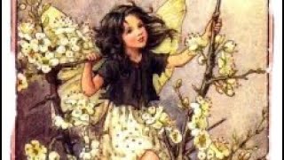 Chat about Blackthorn Folklore [upl. by Newol]