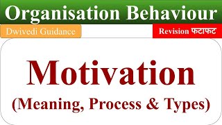 motivation meaning types of motivation process of motivation organisational behaviour motivation [upl. by Rebane326]