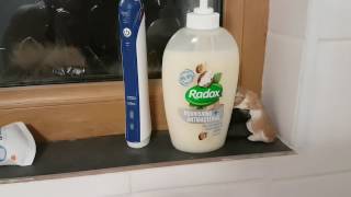 RADOX SHAMPOO REVIEW Lets cleanscrubthrough [upl. by Hodges]