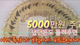 o보험사와s보험사의 독보적 암진단금 비교 [upl. by Alda]