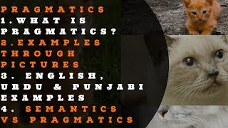 What Is Pragmatics  Semantics VS Pragmatics  English Urdu amp Punjabi Examples  Picture Examples [upl. by Aicemak]