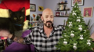 Holiday Survival Guide for Your Cats [upl. by Grata122]