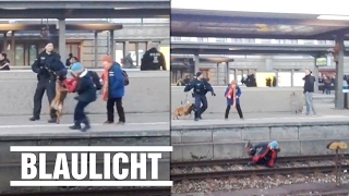 Polizeihund stößt Frau aufs Gleis  Schock am Nürnberger Bahnhof [upl. by Danyluk]