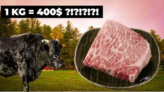 Dillere Destan Japon İneği Wagyu [upl. by Limann]