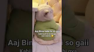 Aaj Bina kade hi so gaii 🥺🤭😘shortvideo lovesong loveheart SumitRathi20 trending catlover [upl. by Nohs985]