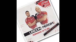 LIRIDON x MERGIM  Albanians in Paris Official Video 4K EM Song 2016 [upl. by Hterag929]