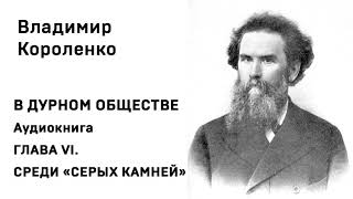 Владимир Короленко В ДУРНОМ ОБЩЕСТВЕ Аудиокнига ГЛАВА VI СРЕДИ «СЕРЫХ КАМНЕЙ» Слушать Онлайн [upl. by Sosthena]