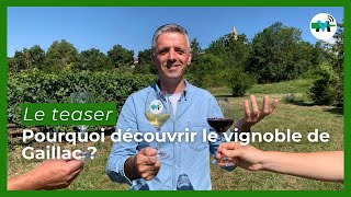 En octobre sur Médiavino Gaillac [upl. by Stretch]