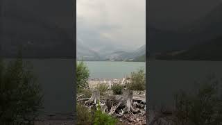 Kananaskis lake in Canada shorts Beautifulnature mountains lake travel Lakeview Deadtree [upl. by Yodlem685]