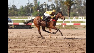 Clásico Jockey Club de Rosario G3 2024  Little Hidden Port Puerto Escondido [upl. by Sudaorb]