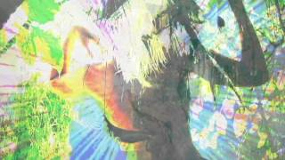 Mona Shpongled Hoops  Shpongle Divine Moments of Truth DMT [upl. by Anne-Marie317]